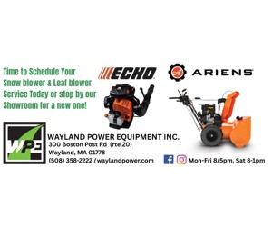 Wayland Power Equipment Ad