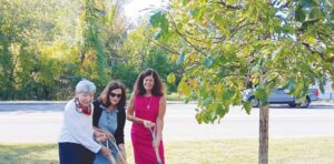 Wayland Rev250 Chair Mary Antes, Juliette Fay, and Select Board Chair Carol Martin plant a white oak during the Liberty Tree ceremony on Constitution Day on Sept. 17 as part of the 250th anniversary celebration of the American Revolution. (Photo by Carole Plumb)