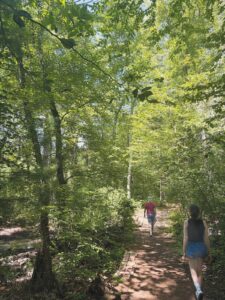 A view of the Lower Field, part of the Greenways conservation area. (Photo by Olivia Green)